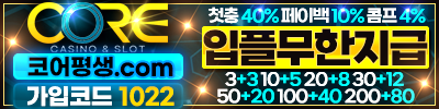 코어